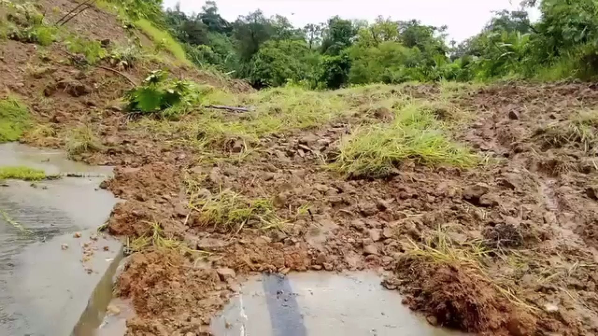 Alerta roja en Risaralda y Santander ante deslizamiento de tierra - crédito @Guardianes_Ant/X