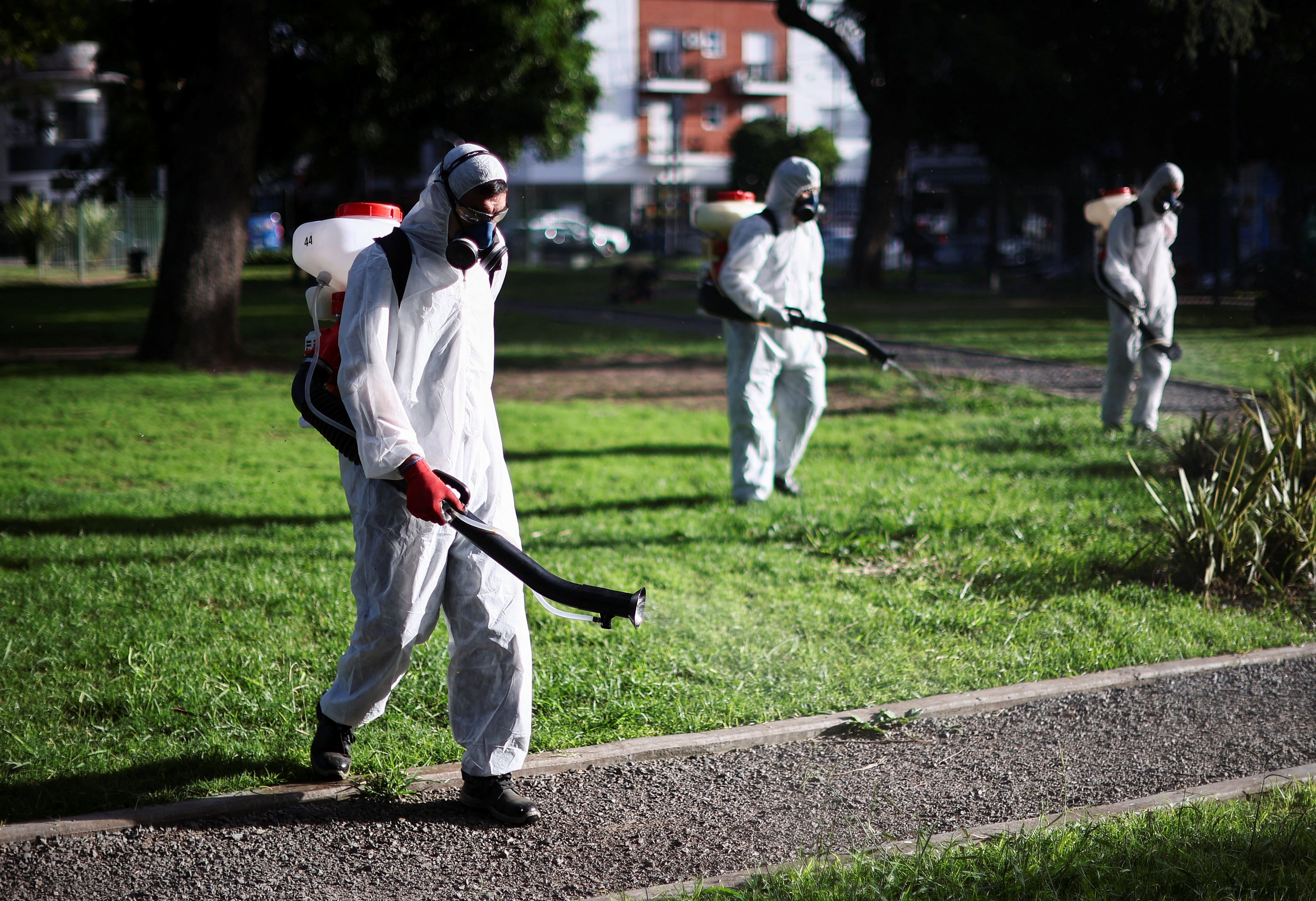 Las medidas preventivas contra el dengue se centran en la eliminación y el control de los criaderos del mosquito Aedes aegypti (REUTERS/Agustin Marcarian). 




