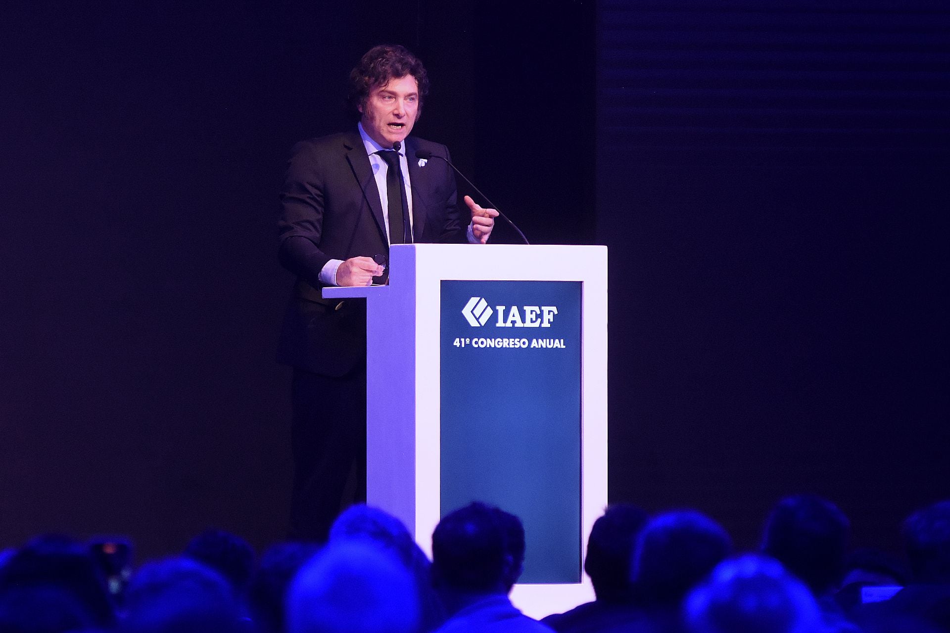 41º CONGRESO ANUAL DEL IAEF - Javier Milei