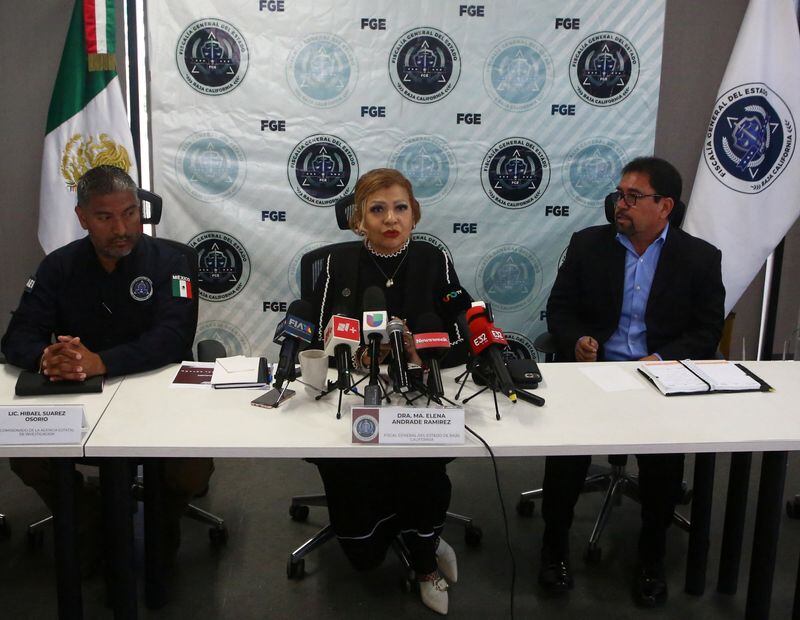 María Elena Andrade en conferencia de prensa después de que los padres de los extranjeros desaparecidos llegaron a México para tratar de identificar los cuerpos
(REUTERS/Jorge Duenes)