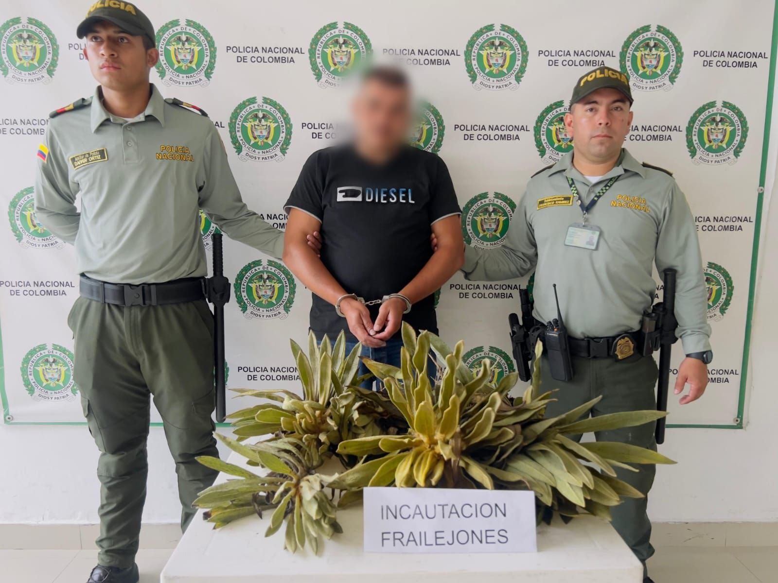 La detención de una persona por aprovechamiento ilícito de especies protegidas en el Nevado del Ruiz subraya la importancia de proteger el patrimonio natural para futuras generaciones - crédito Policía del Tolima