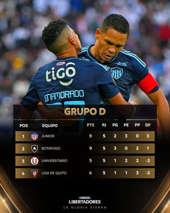 Tabla del Grupo D de la Copa Libertadores 2024.