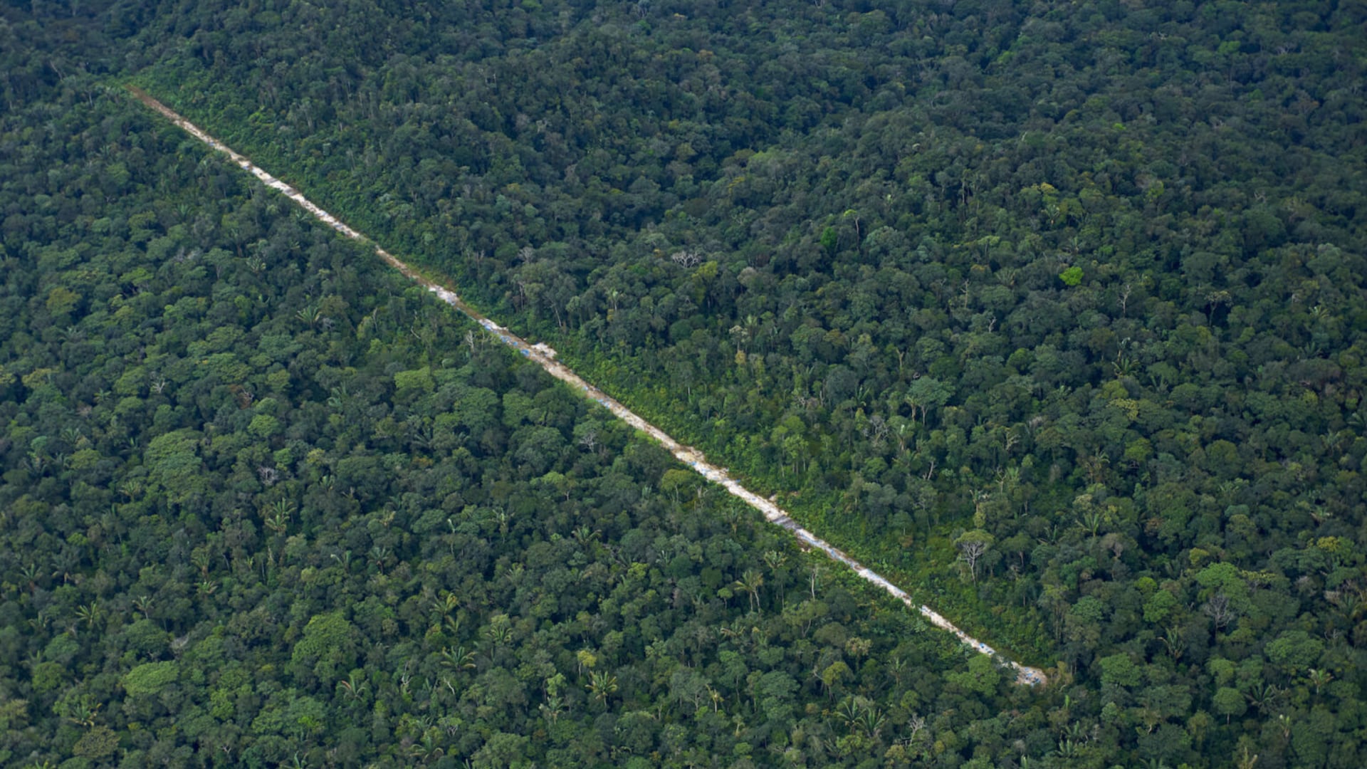 Reserva indígena amenazada en la Amazonía peruana.