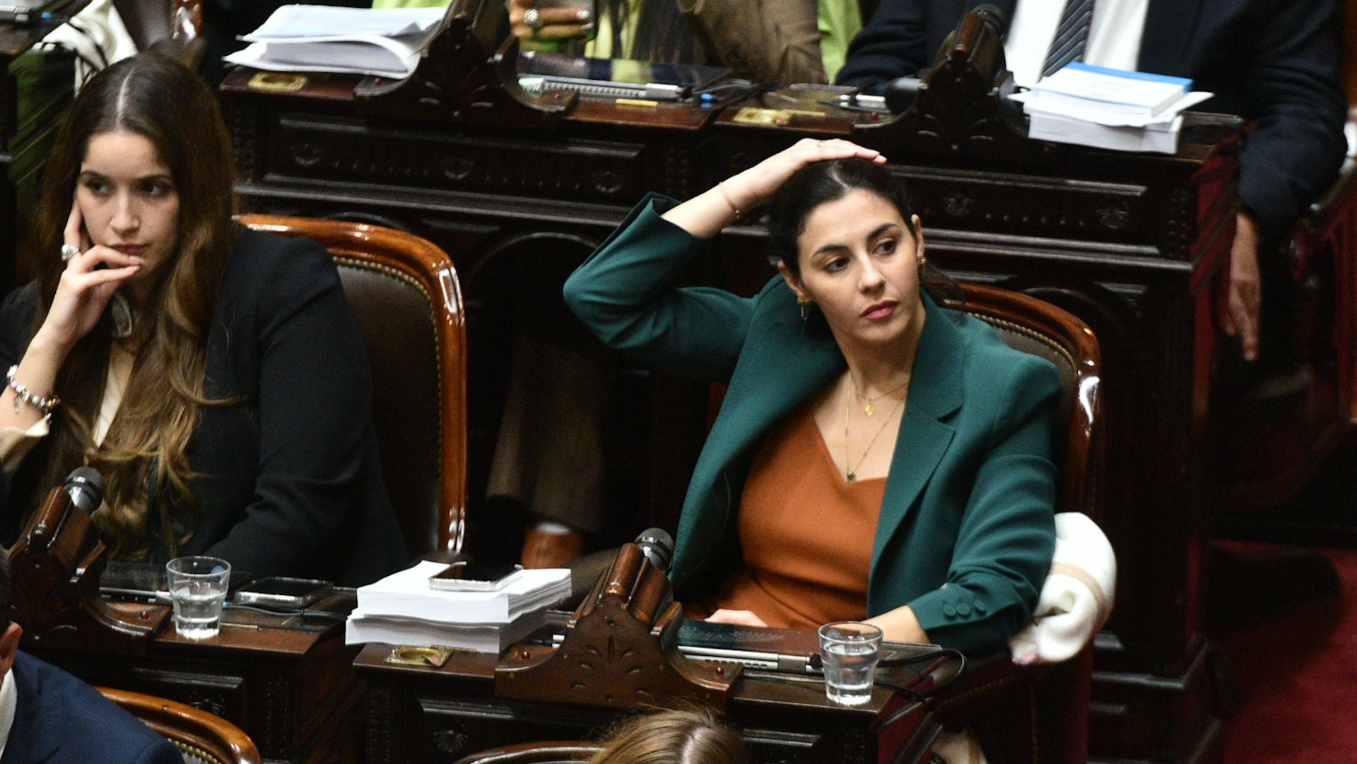 Ley Bases Cámara de Diputados  marcela pagano