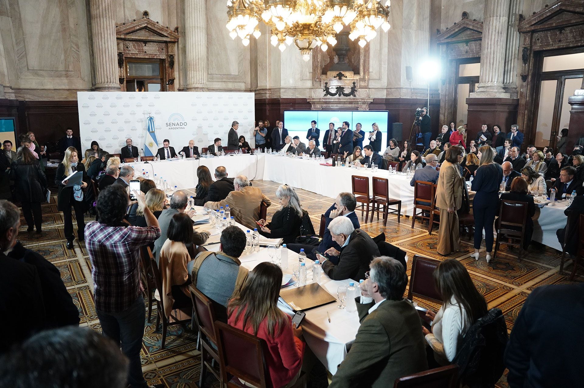 Debate Ley Bases en el senado - 29/05/2024