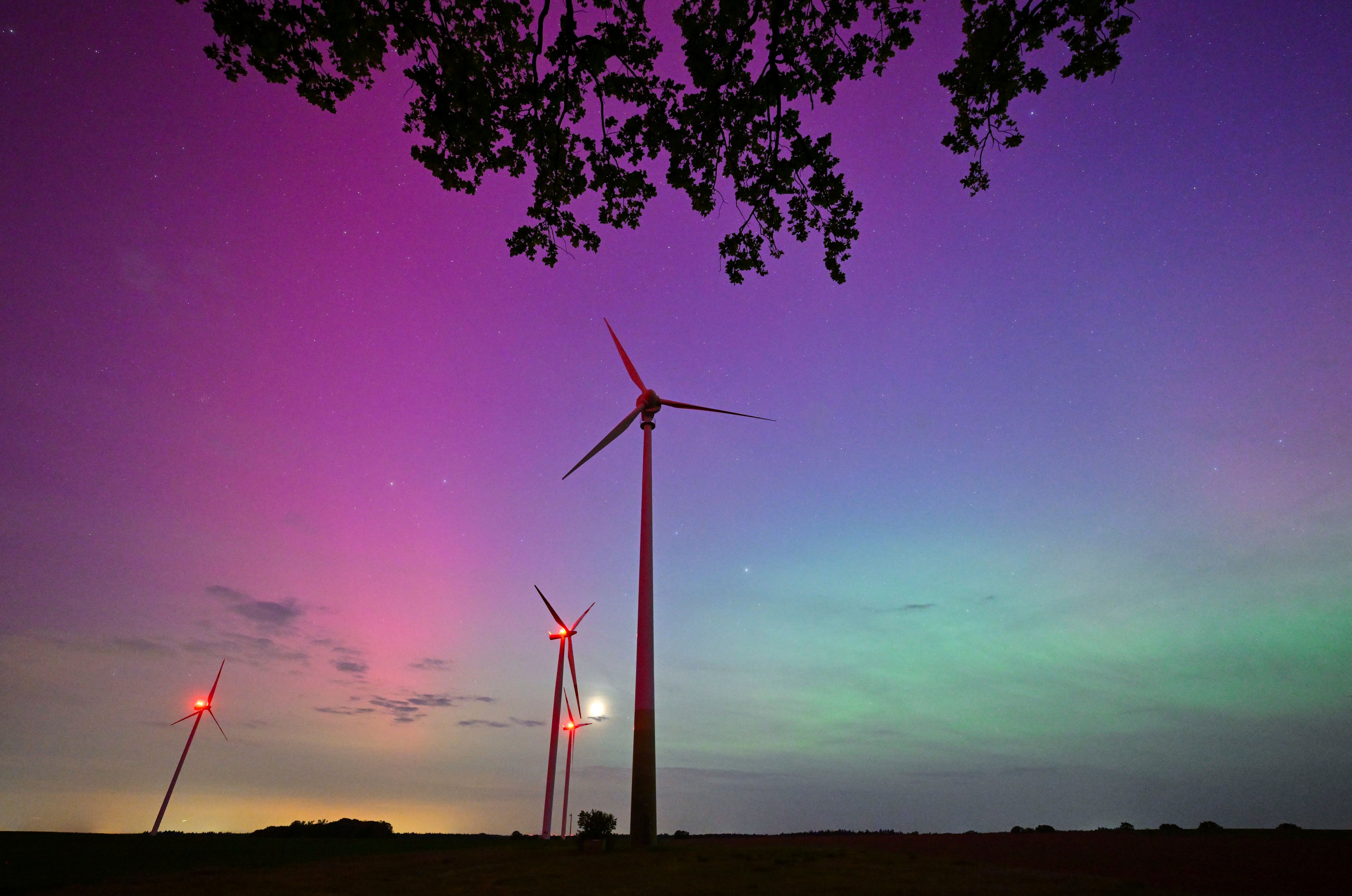 auroras boreales