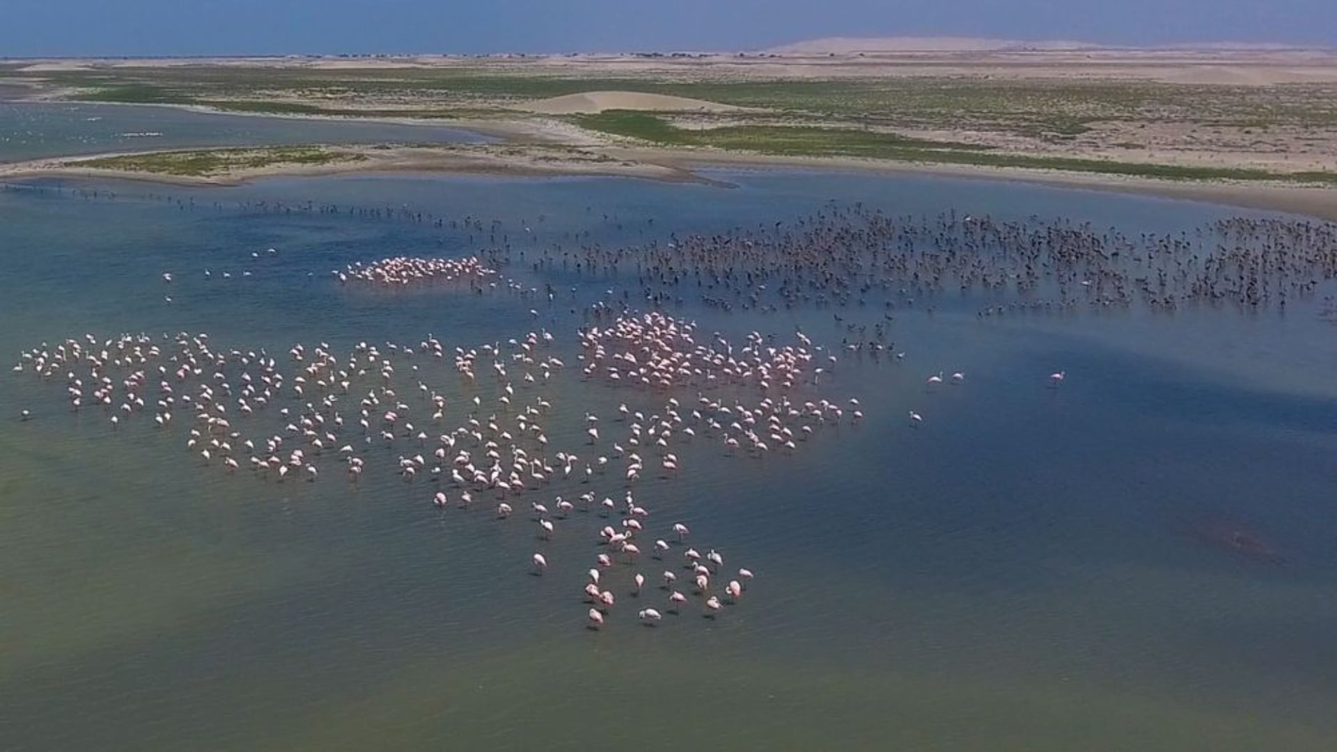 La laguna La Niña alberga decenas de especies de aves y peces.