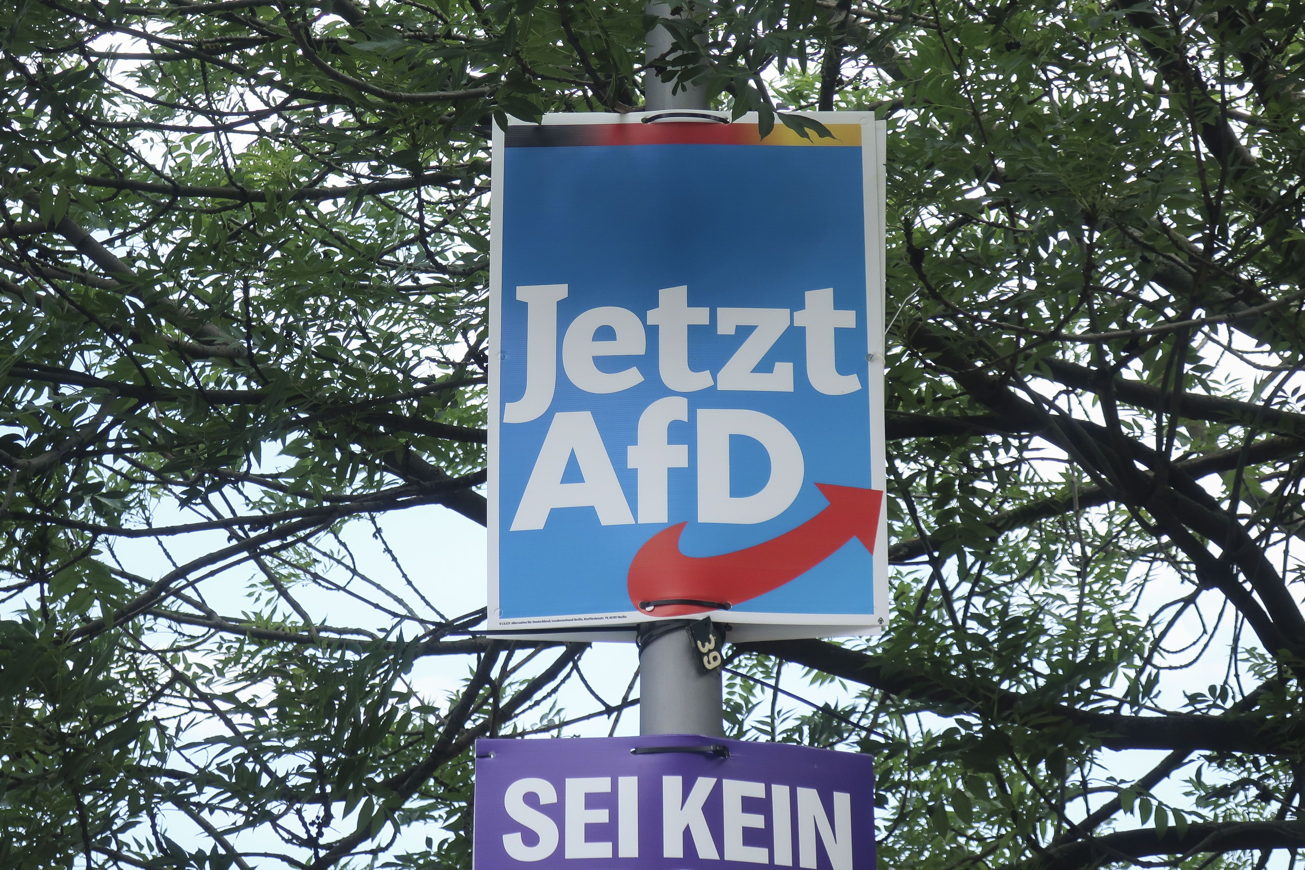 Cartel electoral del partido de ultraderecha Alternativa para Alemania (AfD) (EFE/ José Manzaneque)
