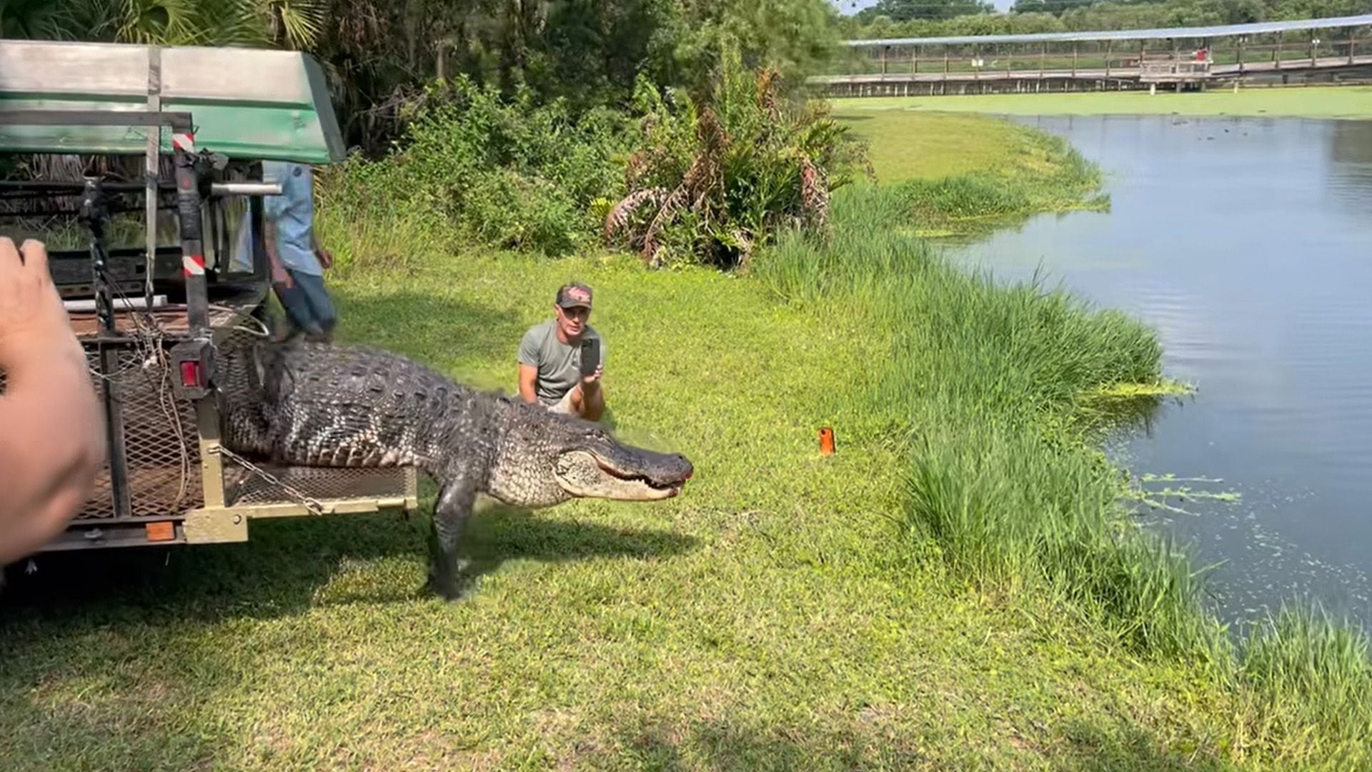 Autoridades de la base aérea relocalizaron a Ally nuevamente. (Facebook/MacDill Air Force Base)

Caimán, reptiles, fuerza aérea, Estados Unidos, mascotas, animales, rescate animal, Florida