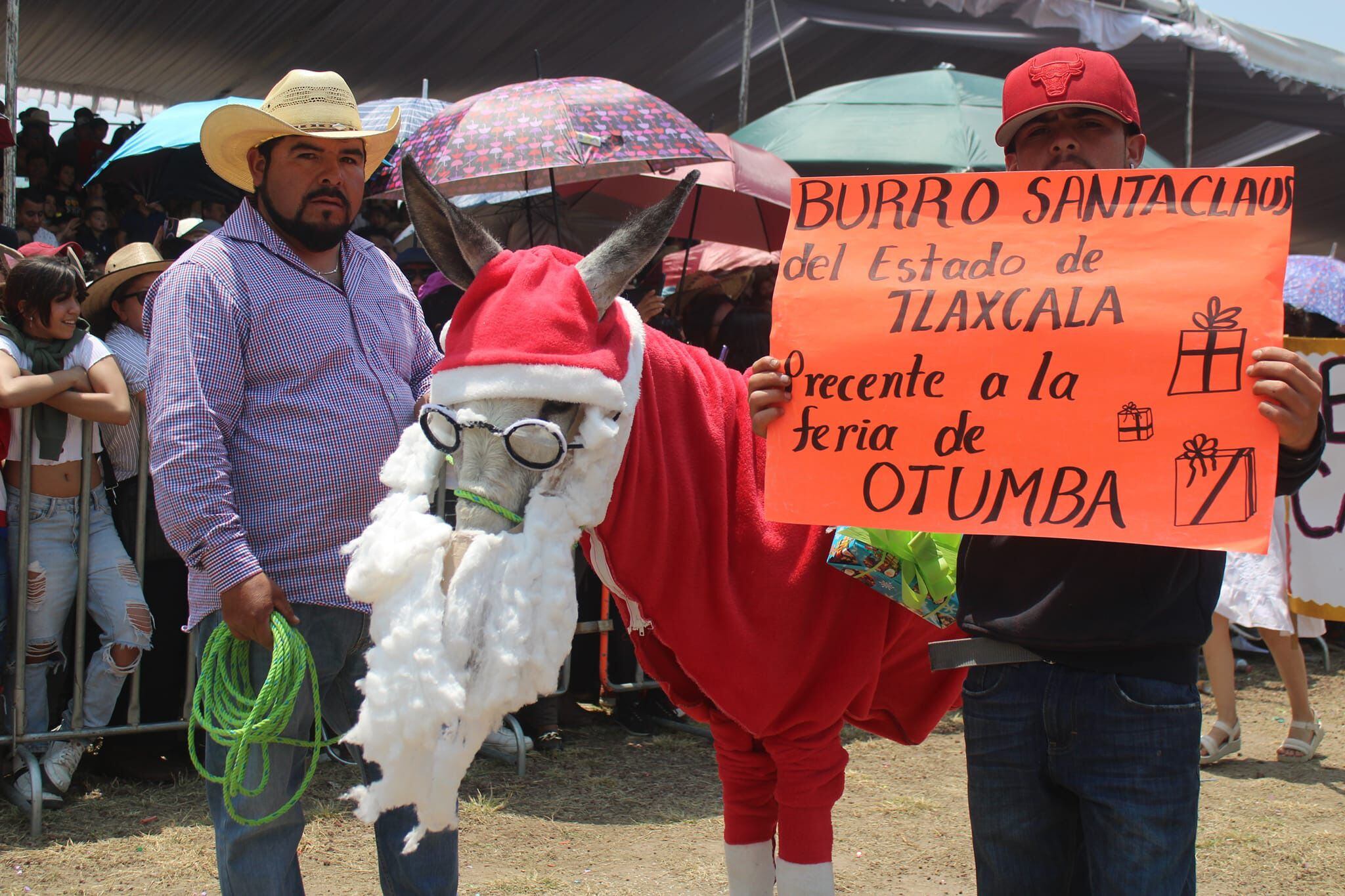 El "burro 'Santa Claus'" acudió a la feria desde Tlaxcala, México.(Facebook/Feria Nacional del Burro Otumba 2024).

Burros, equinos, feria nacional del burro 2024, Otumba, México, disfraces, polo, animales, mascotas