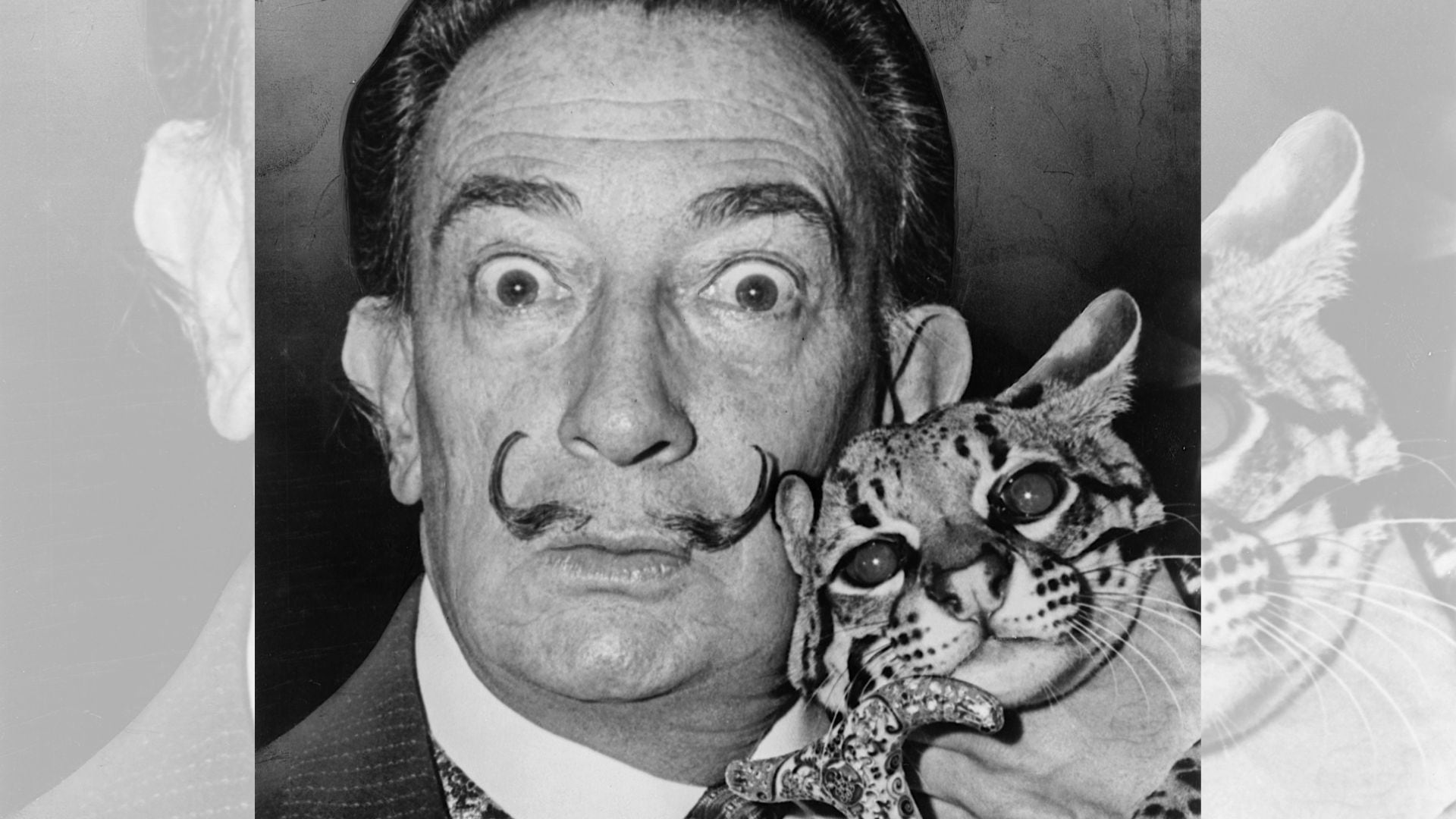 Babou, el ocelote que conquistó el corazón de Salvador Dalí (Wiki Commons)