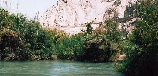 El Bosque de Protección cercano a la Bocatoma del Canal Nuevo Imperial (BPACNI) está ubicado a aproximadamente 150 km al sur de Lima, poco antes de llegar a Lunahuaná.
Foto: