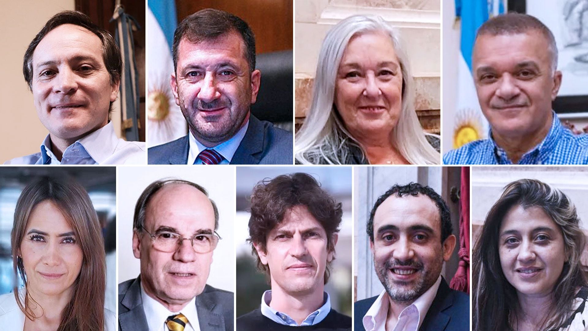 senadores Carlos Espínola, Edgardo Kueider, Edith Terenzi, Carlos Arce, Sonia Rojas Decut, Pablo Blanco, Martín Lousteau, José Carambia y Natalia Gadano