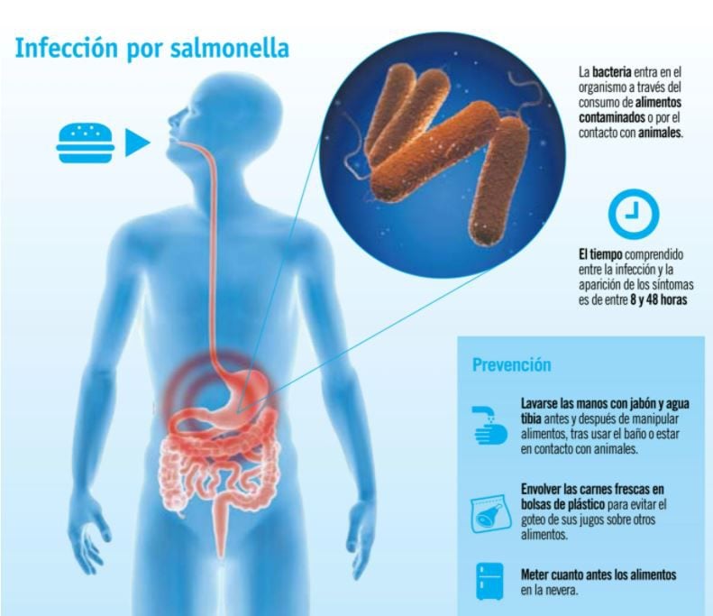 (Foto: Canal Salud IMQ)