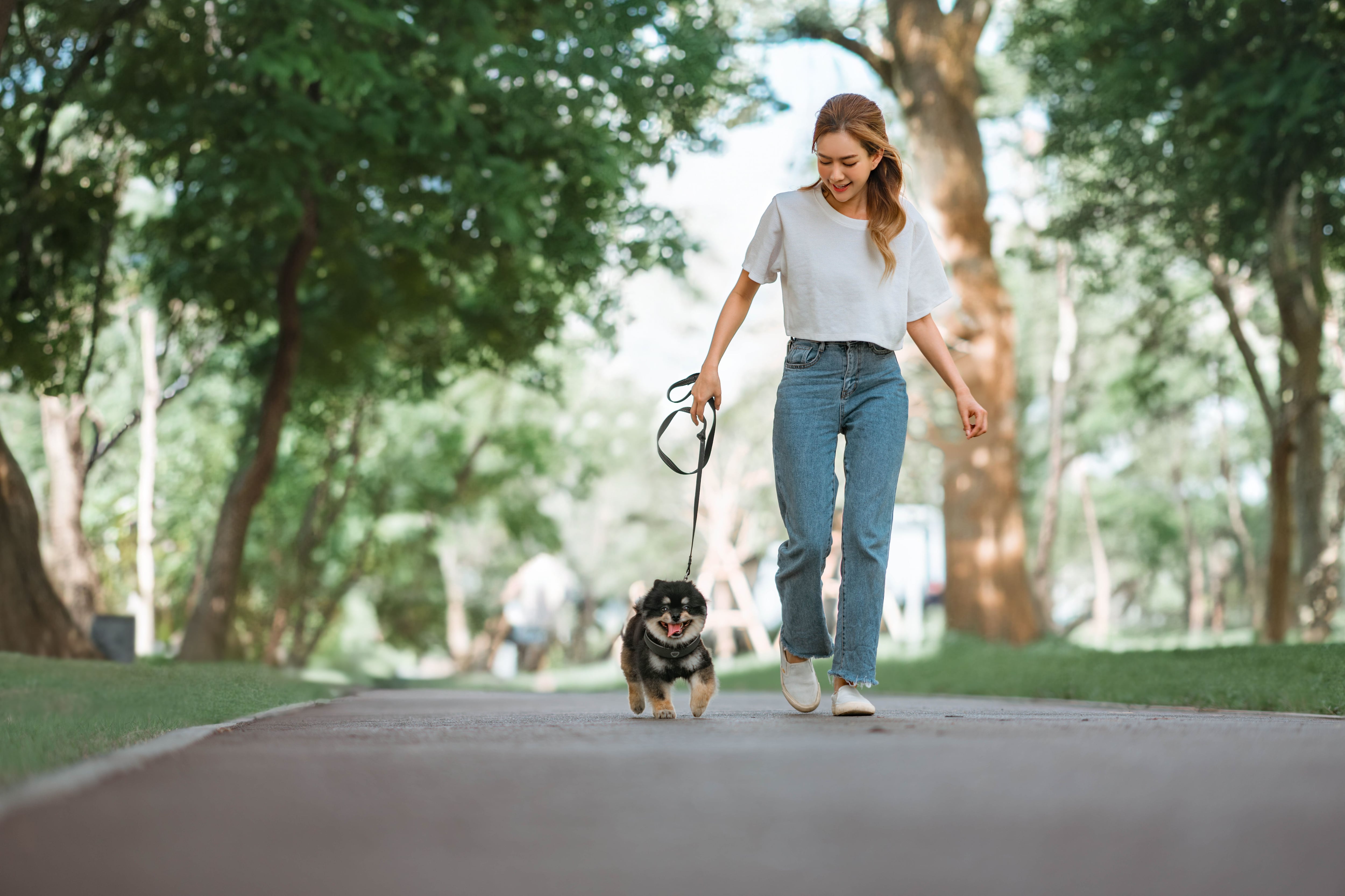 Una joven pasea a su perro (Shutterstock)