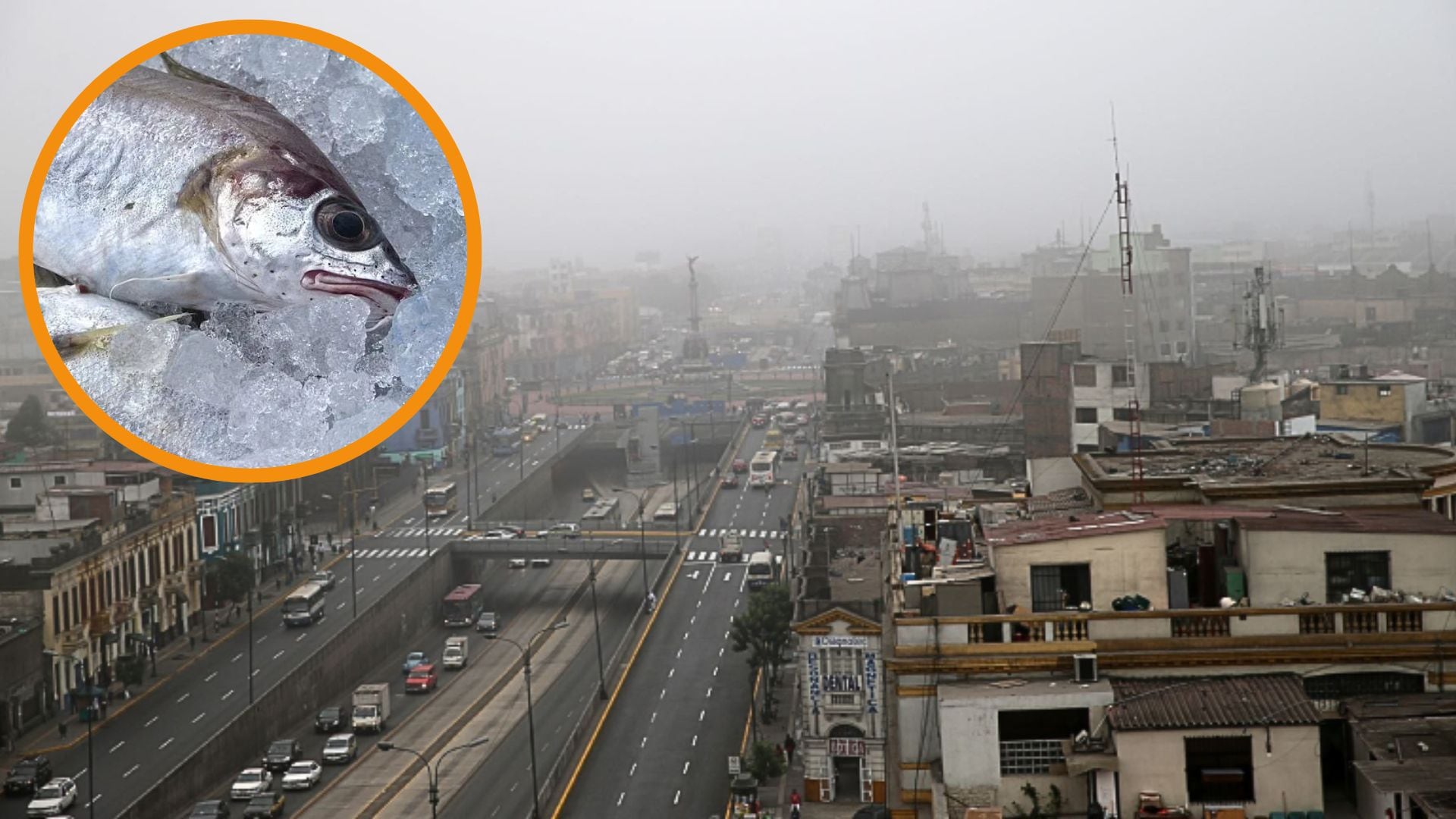 Lima reporte peculiar olor a pescado en el ambiente de varios distritos