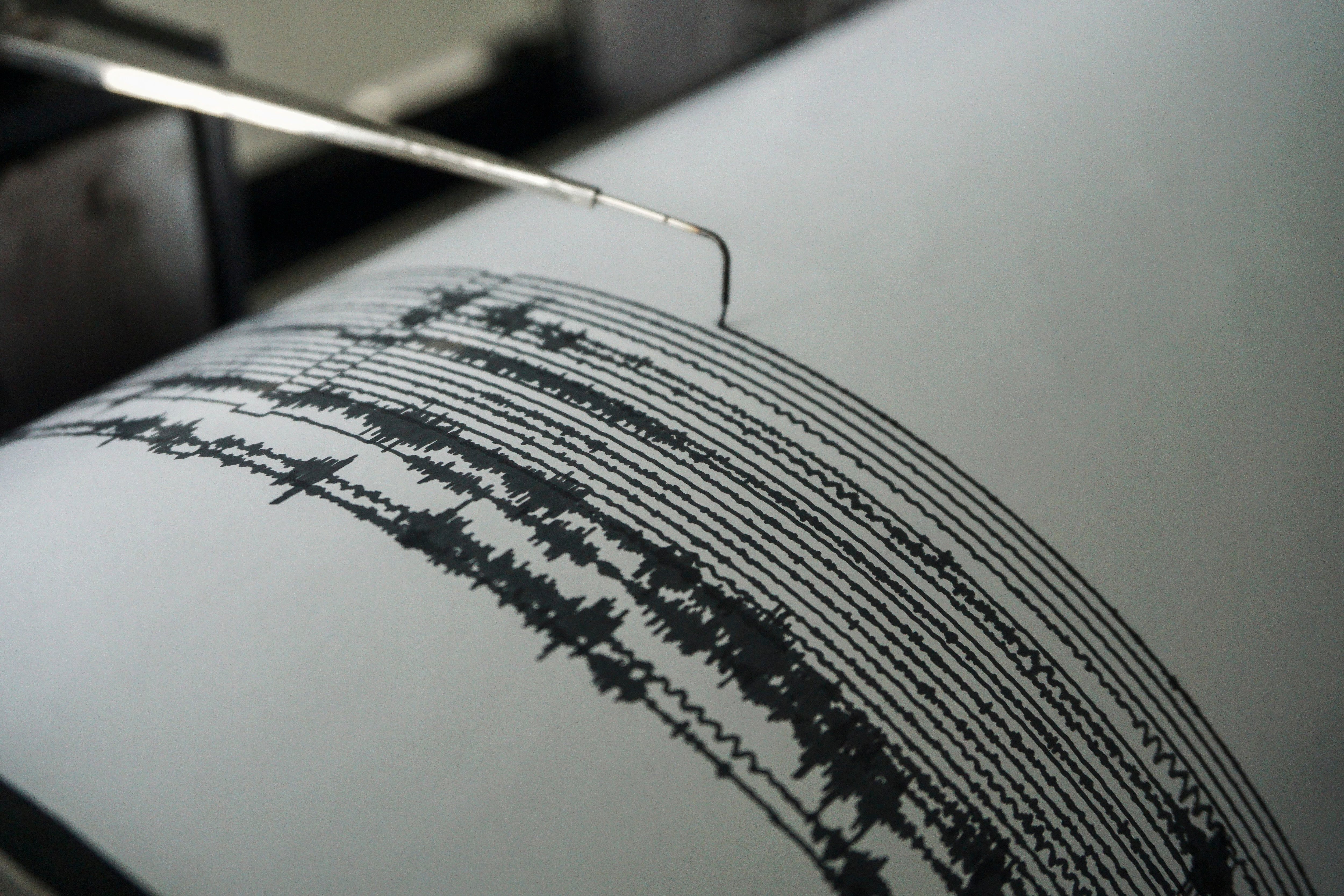 IMAGEN DE REFERENCIA: Gráficos de actividad sísmica, en una fotografía de archivo. Crédito: EFE/ Ammar
