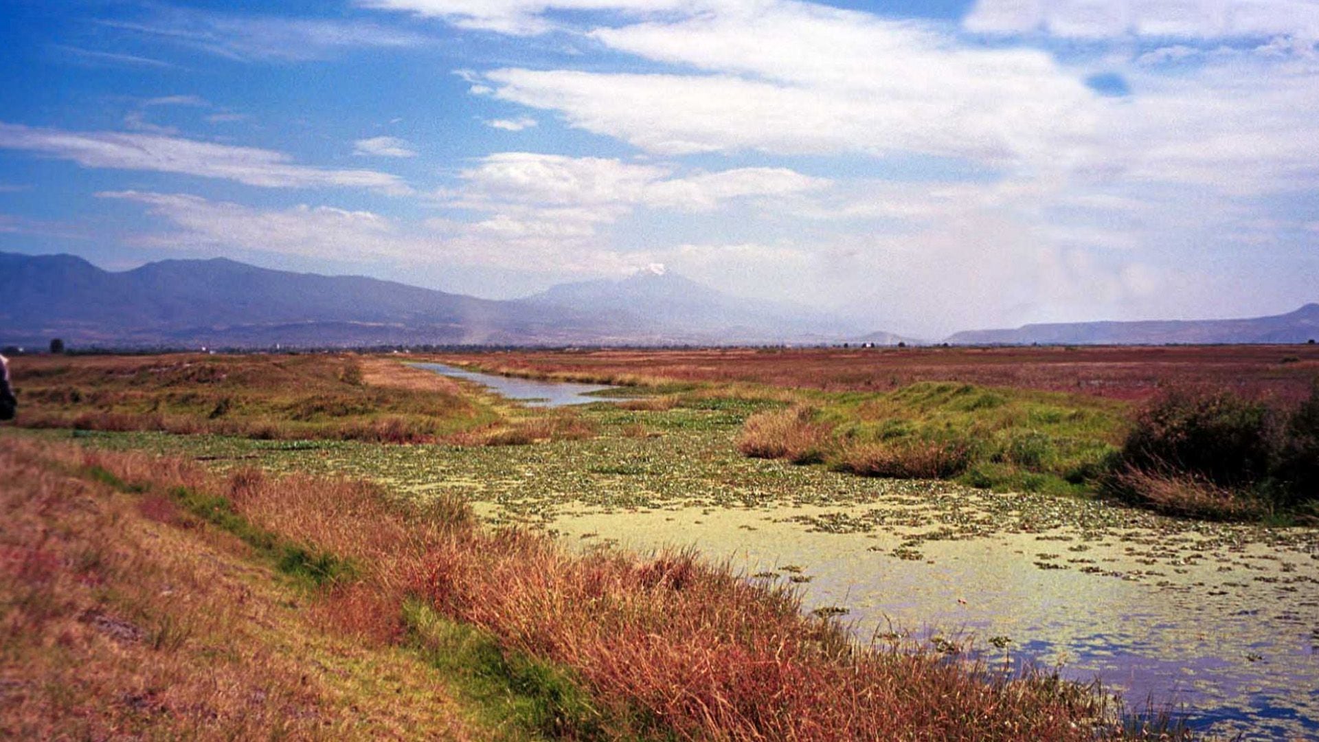 Claudia Sheinbaum le informó que esta zona es salada, al tiempo de ser un área natural protegida.

 Xóchitl Gálvez, lago de Texcoco, Claudia Sheinbaum