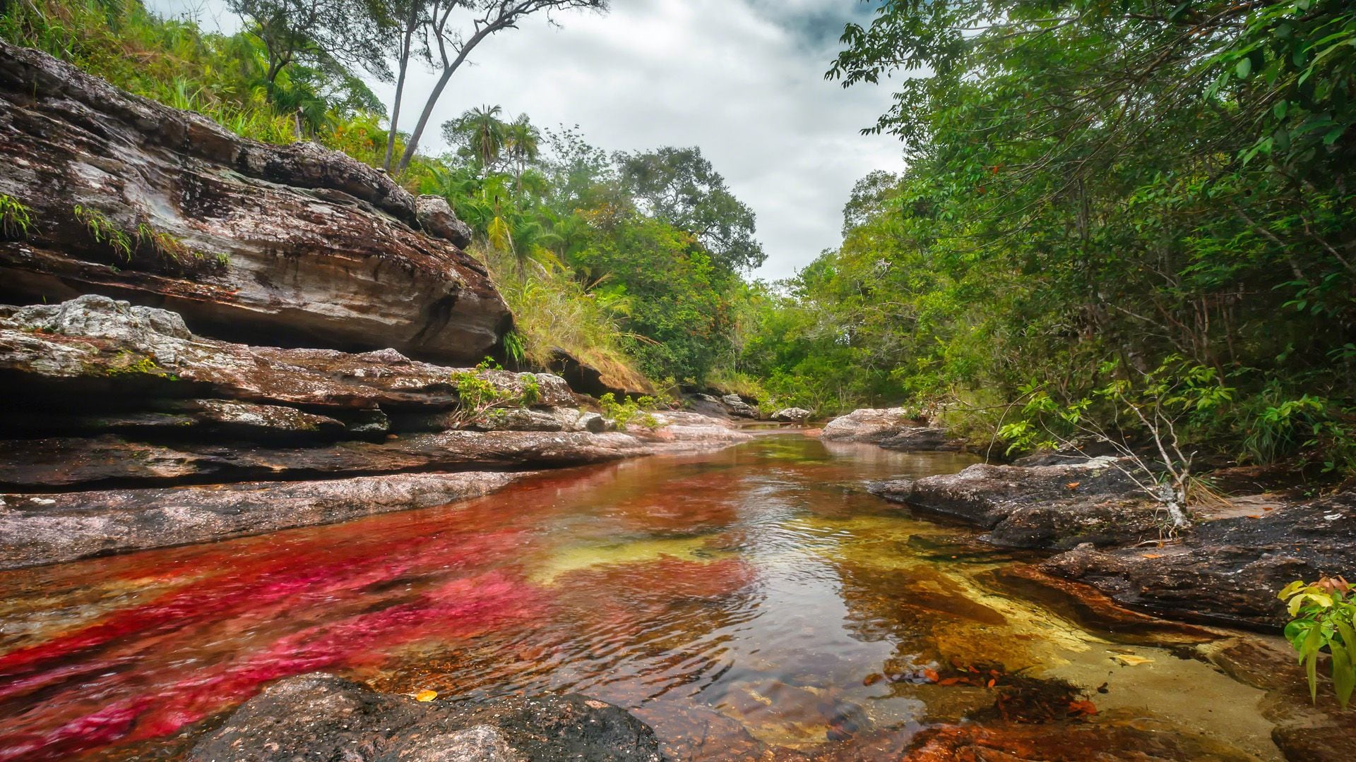 Se espera que 15.000 visitantes lleguen al sitio turístico entre junio y octubre - crédito www.cano-cristales.com.