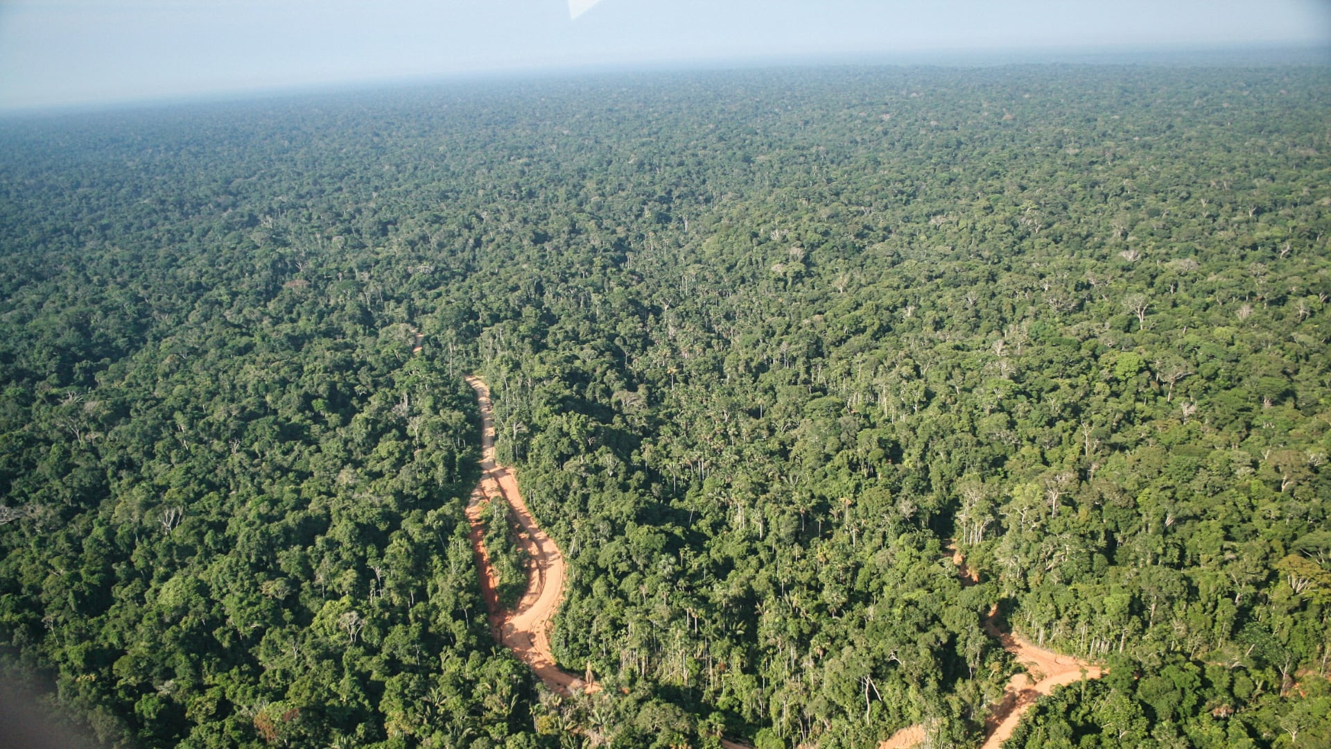 Amazonía peruana