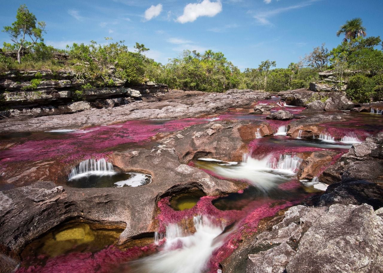 Caño Cristales-Colombia-20-11-2021