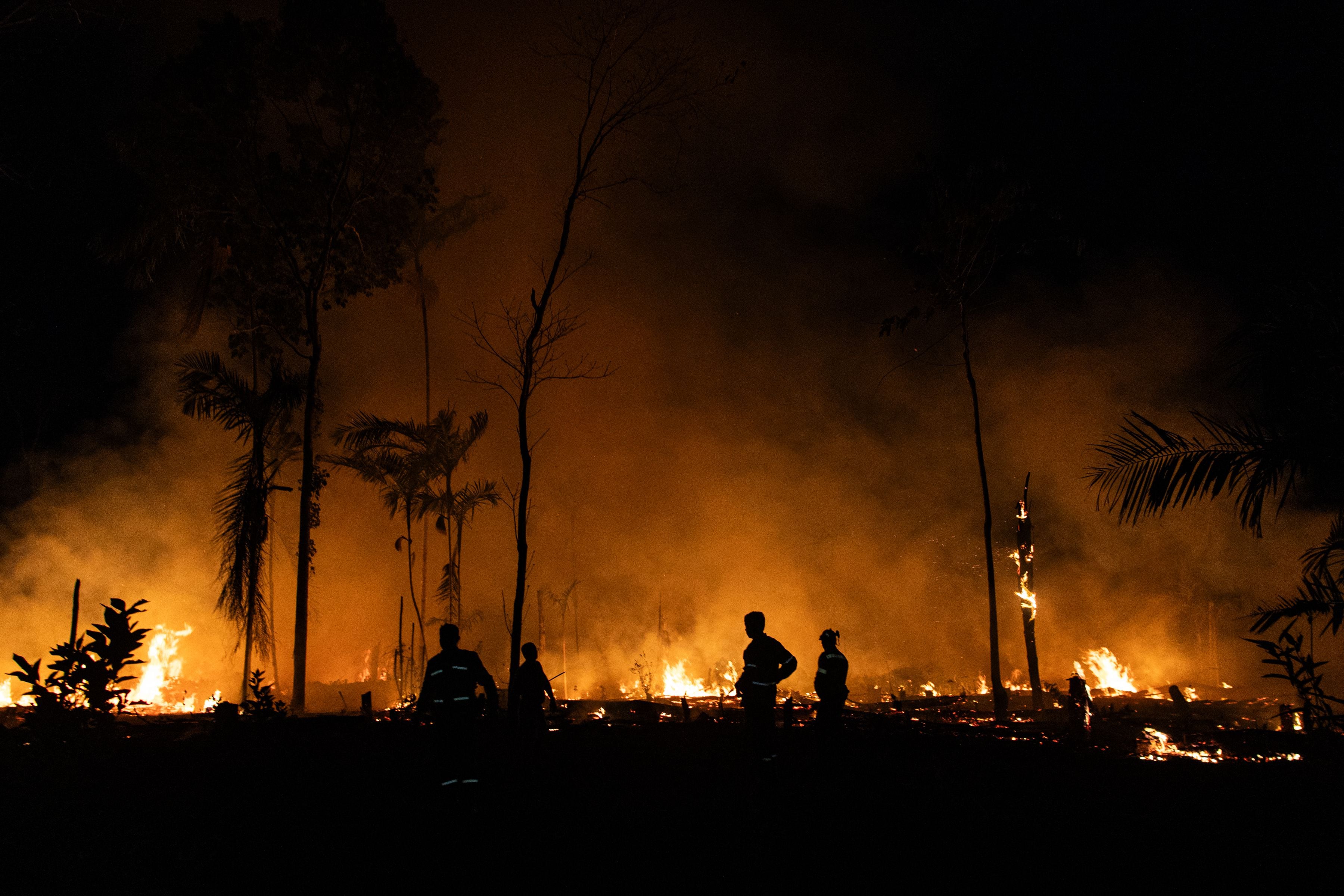 El Parlamento Andino declaró en estado de emergencia nacional e internacional la cuenca del Amazonas. Foto: EFE/ Raphael Alves
