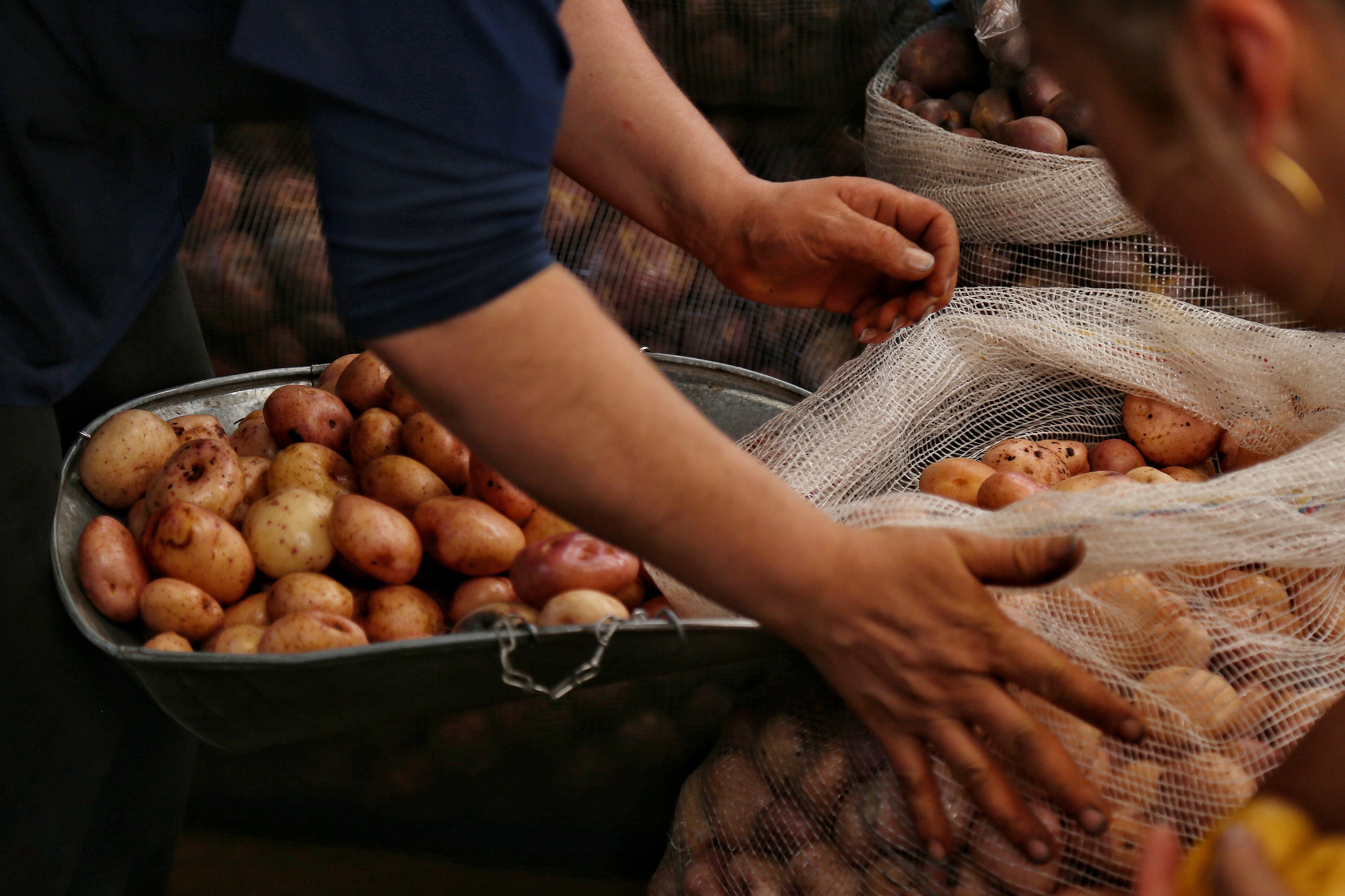 Estos son los alimentos que subirían de precio por cierre de la vía al Llano. Colprensa