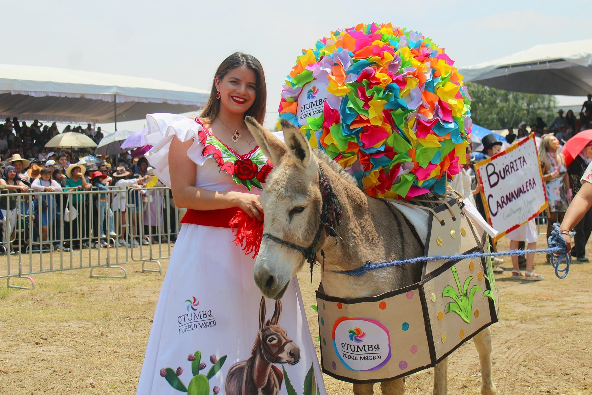 Dueños disfrazaron a sus burros inspirados en diferentes temáticas. (Facebook/Feria Nacional del Burro Otumba 2024)

Burros, equinos, feria nacional del burro 2024, Otumba, México, disfraces, polo, animales, mascotas