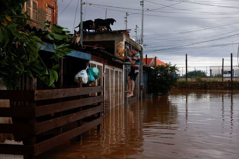 Un hombre escala una verja para acceder a una casa en una zona inundada en Eldorado do Sul, estado de Rio Grande do Sul, Brasil. 8 de mayo de 2024. REUTERS/Amanda Perobelli