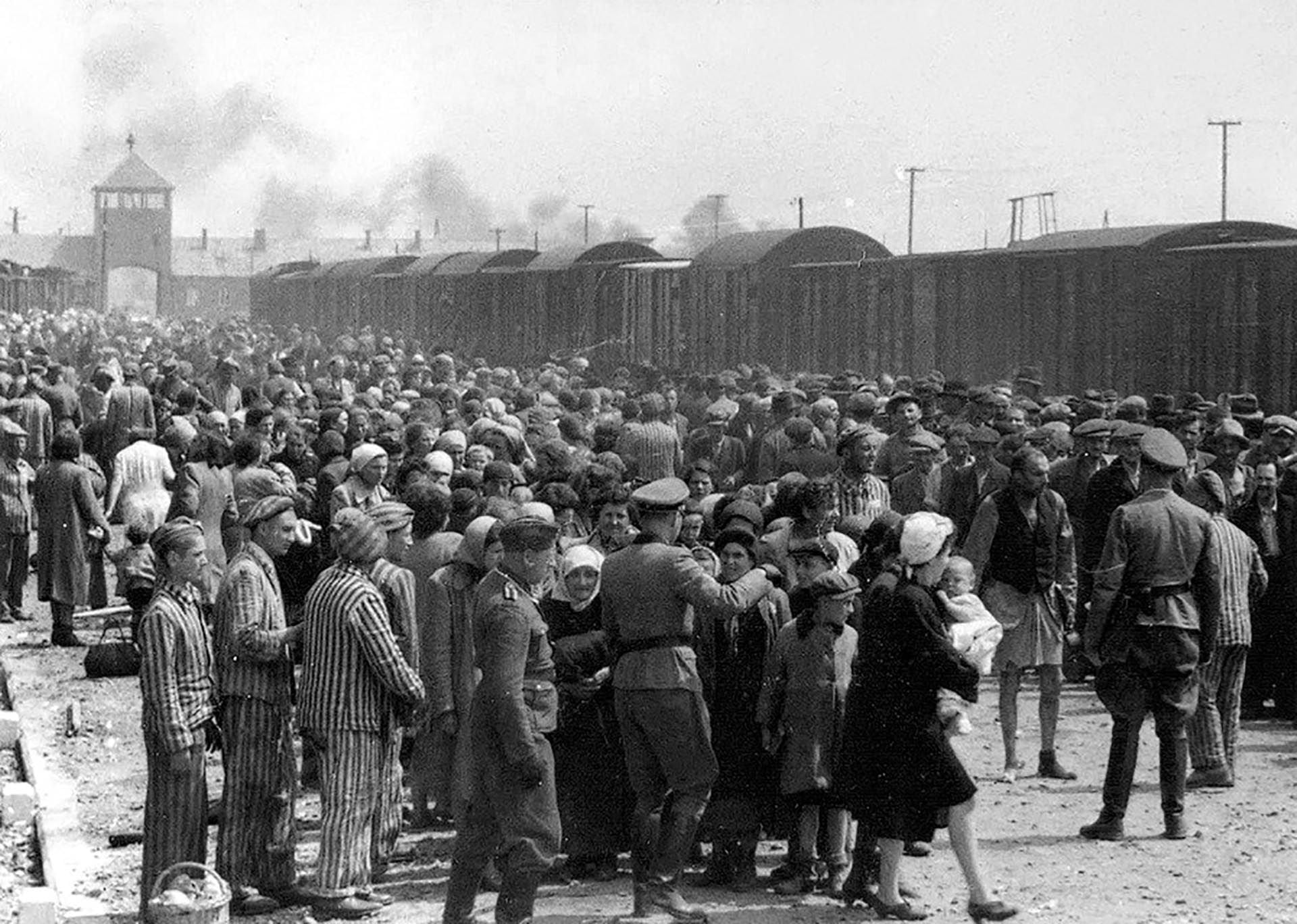 deportación de judíos húngaros desde Budapest hasta Auschwitz