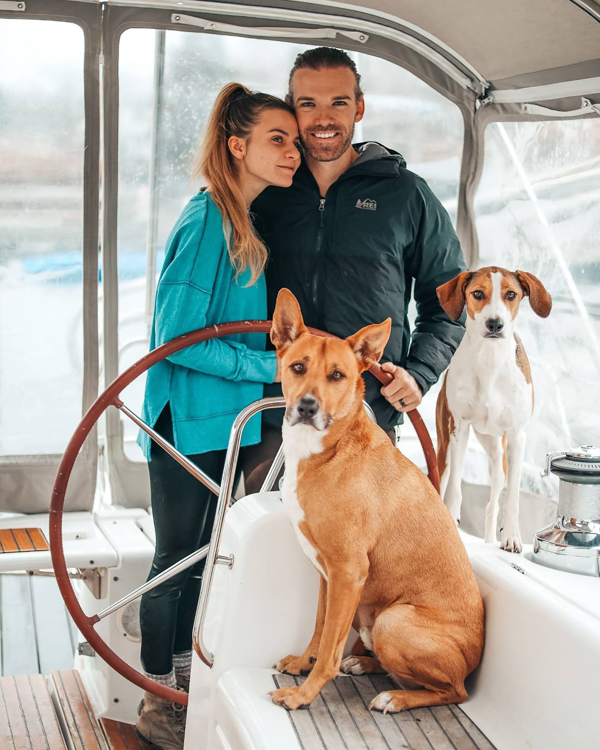 Expedición canina: Dingo y Penny, los perros que conocen el mundo en un barco que se conviritó en su hogar