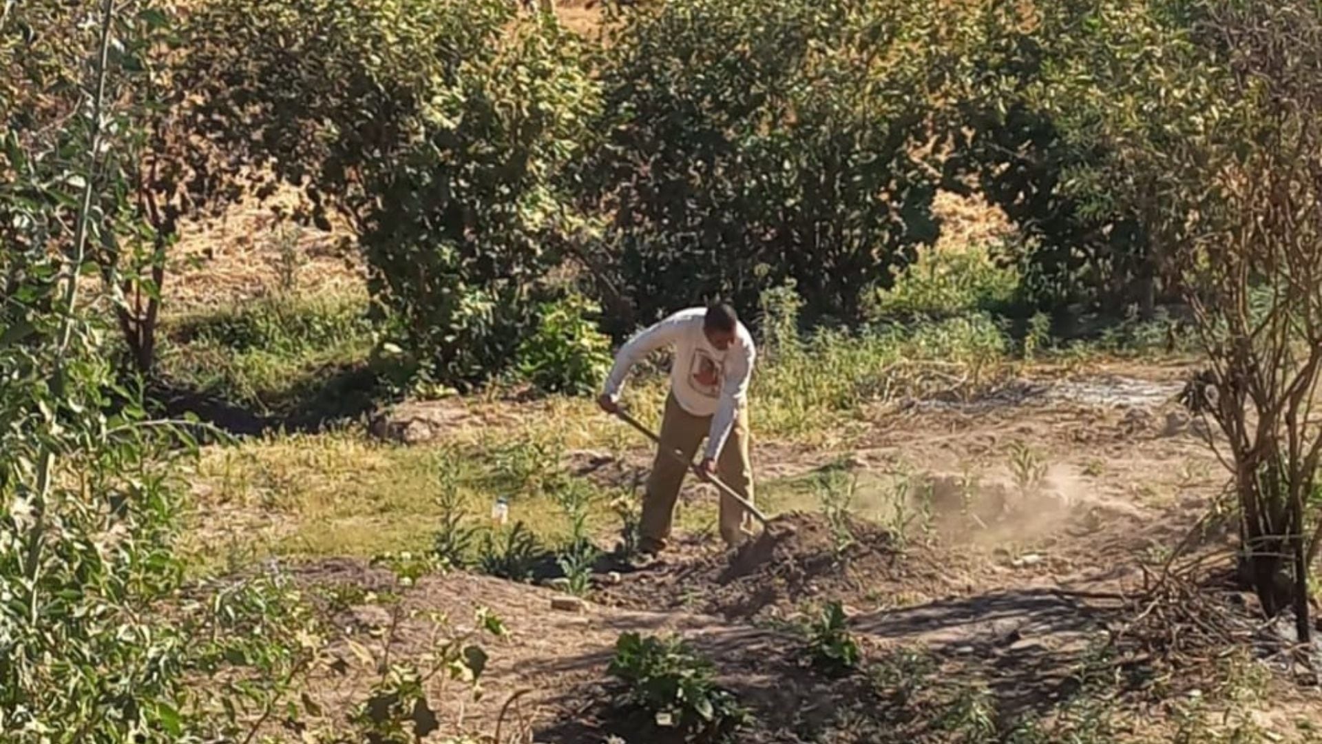 Fosa clandestina en Sonora