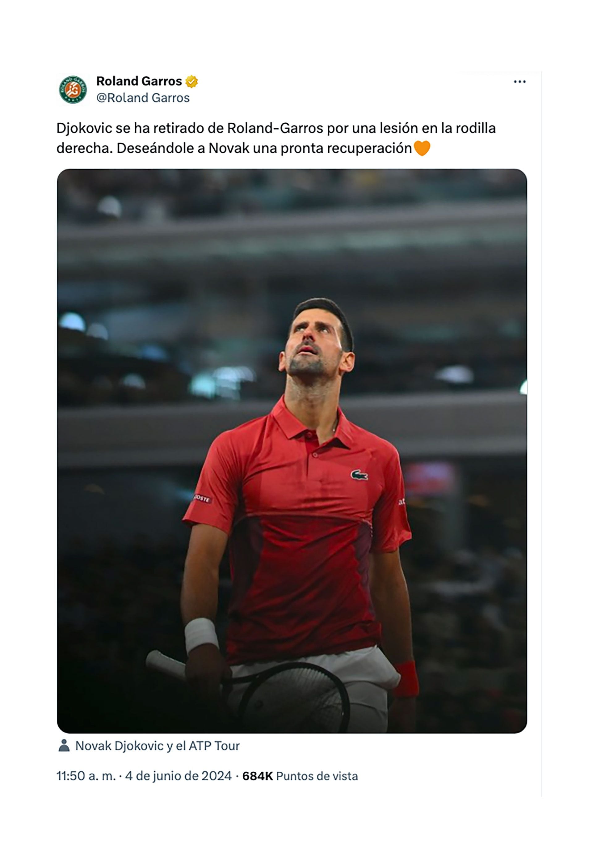 novak djokovic roland garros