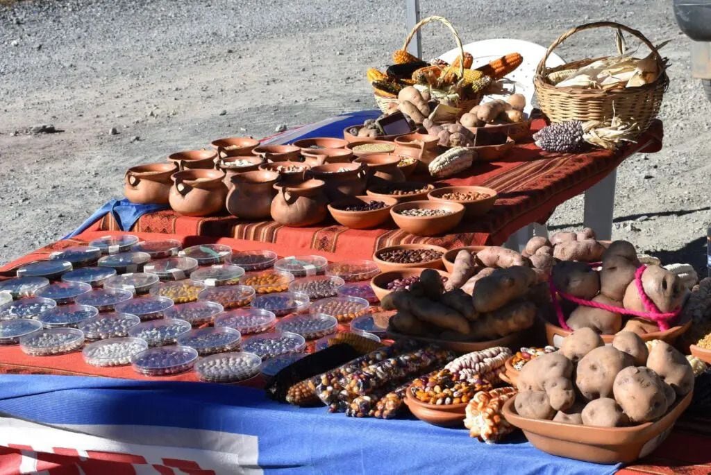 Se llegaron a producir varios cientos de kilos de porotos andinos por año, que actualmente son destinados a diferentes usos gastronómicos o como souvenirs para la venta en ferias locales