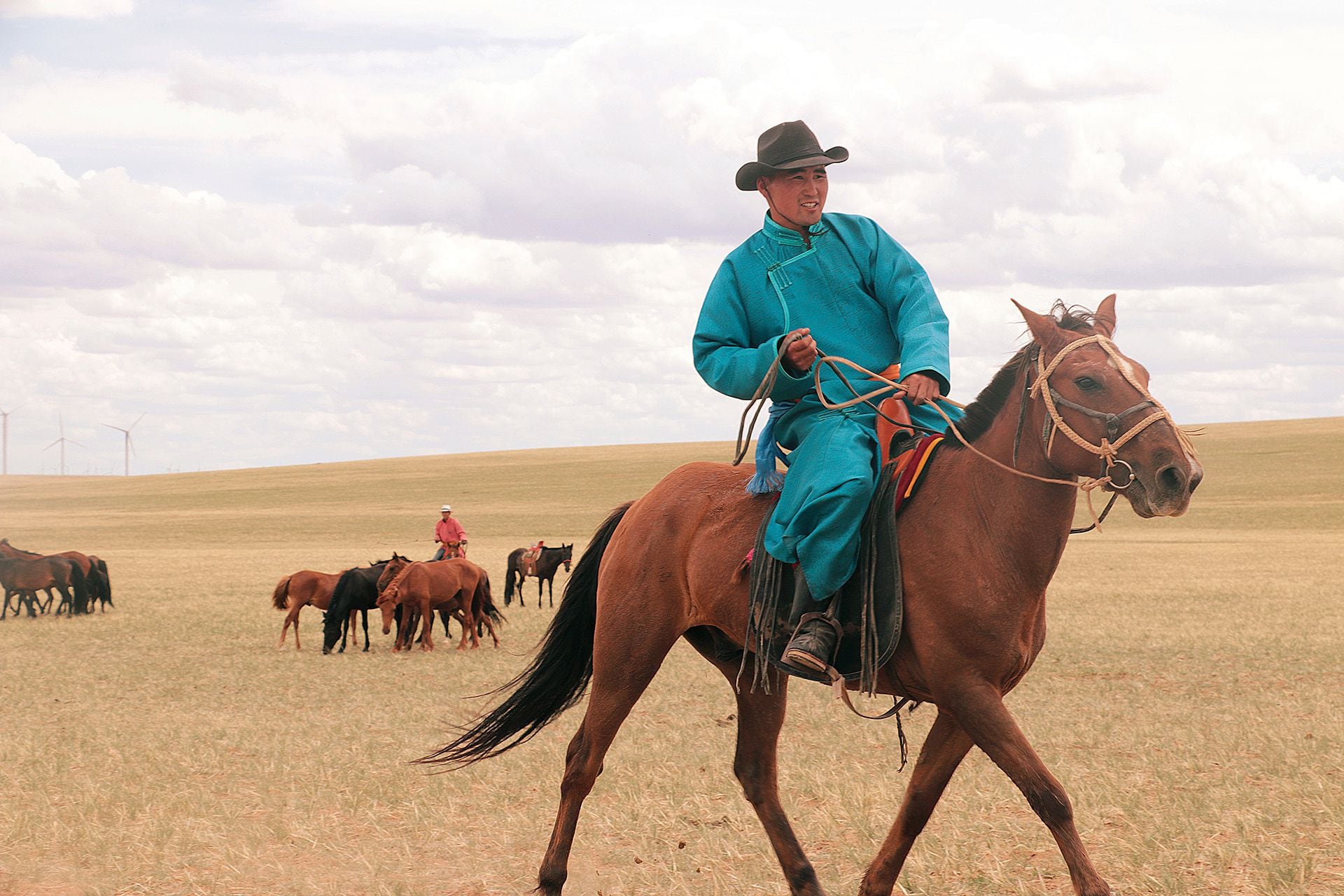 El caballo moderno tiene un linaje de 4.200 años