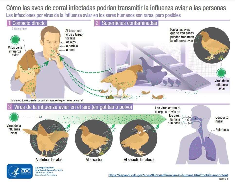 (Infografía: CDC)