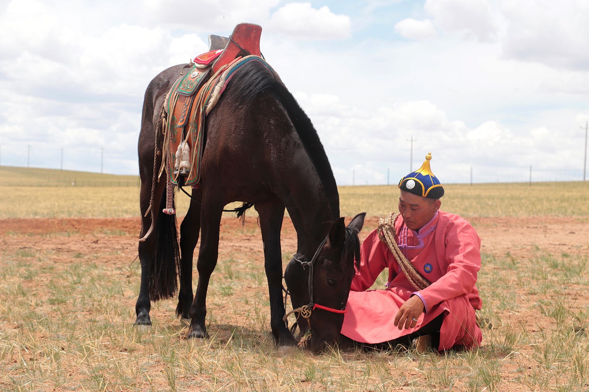 El caballo moderno tiene un linaje de 4.200 años