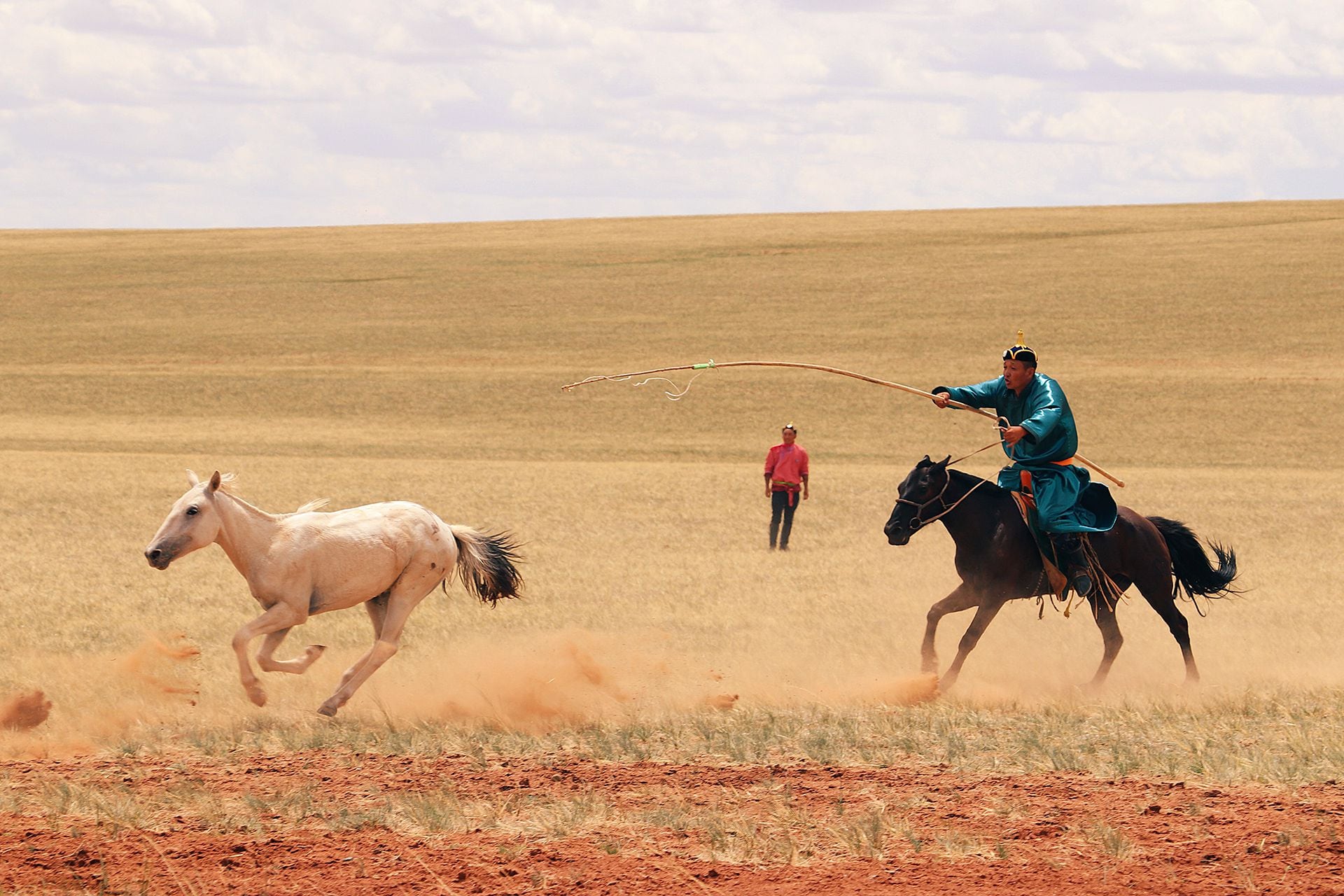 El caballo moderno tiene un linaje de 4.200 años