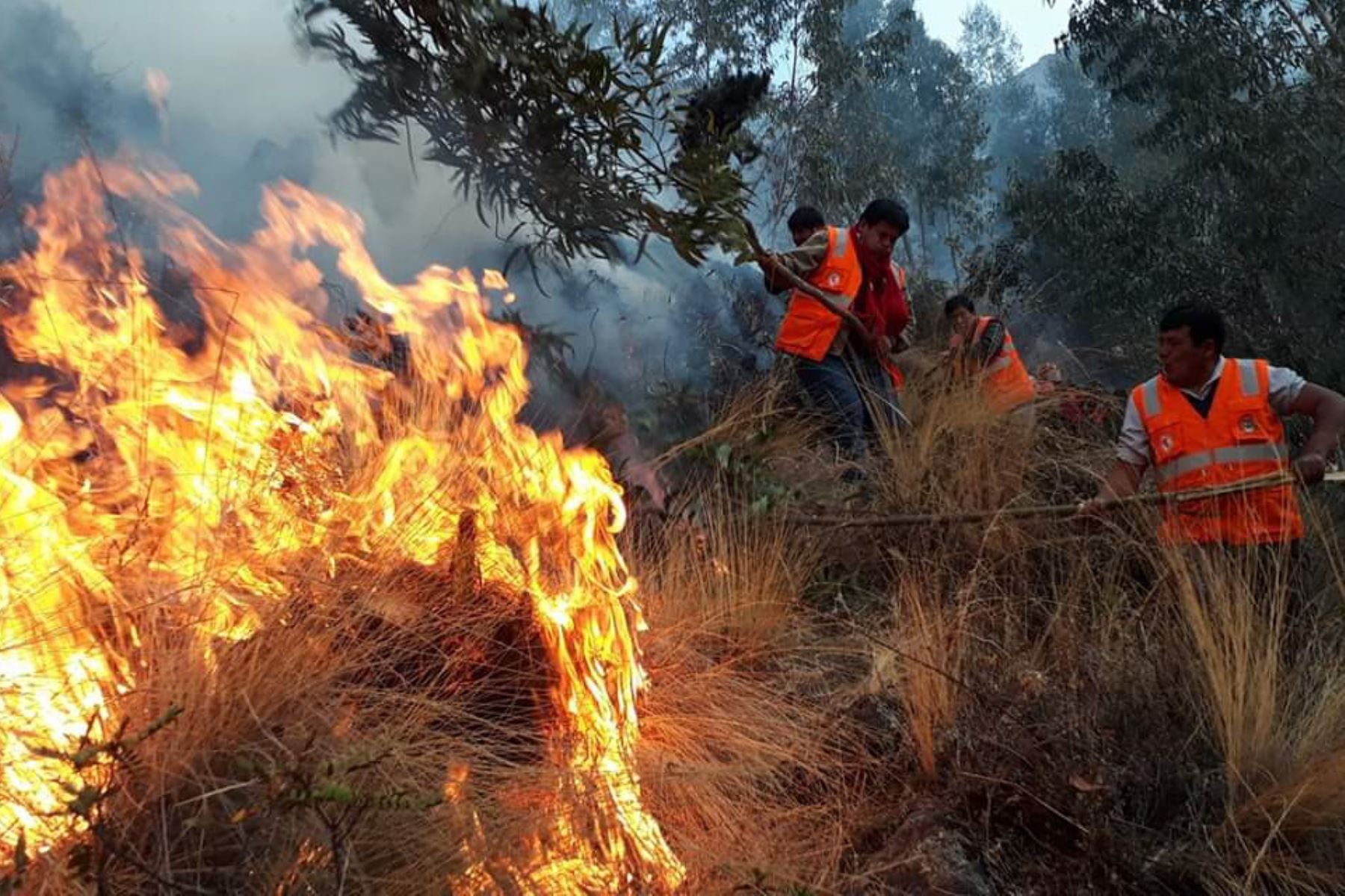 Las llamas pueden dañar viviendas y diversas fuentes de sustento, como la ganadería, agricultura y turismo. Créditos: Andina