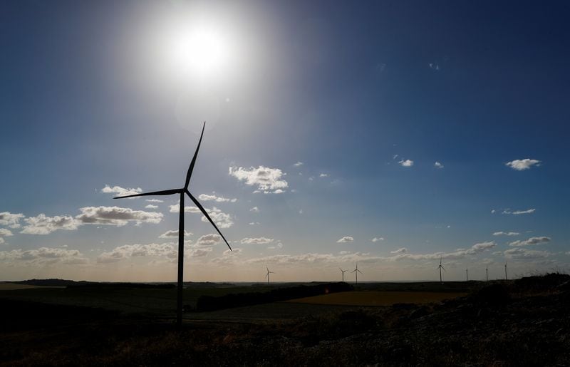 La energía está mudando rápidamente hacia las que son renovables (Foto de archivo. REUTERS/Agustin Marcarian)