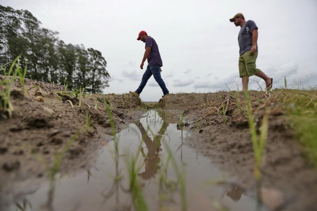 Inundaciones en el campo