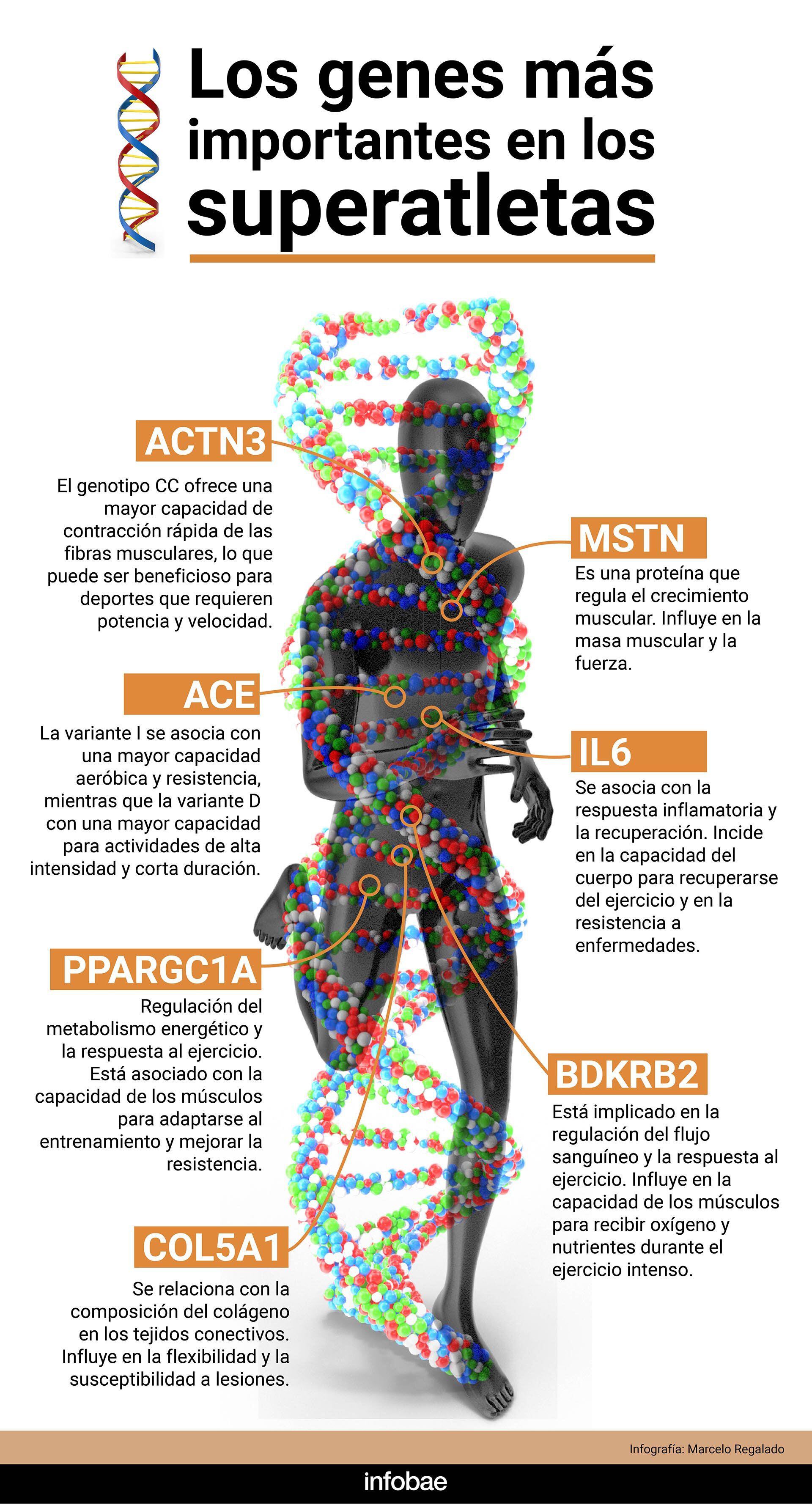 infografia