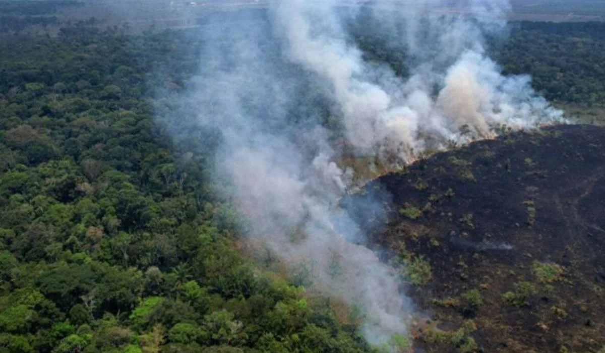 Brasil despliega aviones militares y declara emergencia en 45 ciudades por incendios forestales.