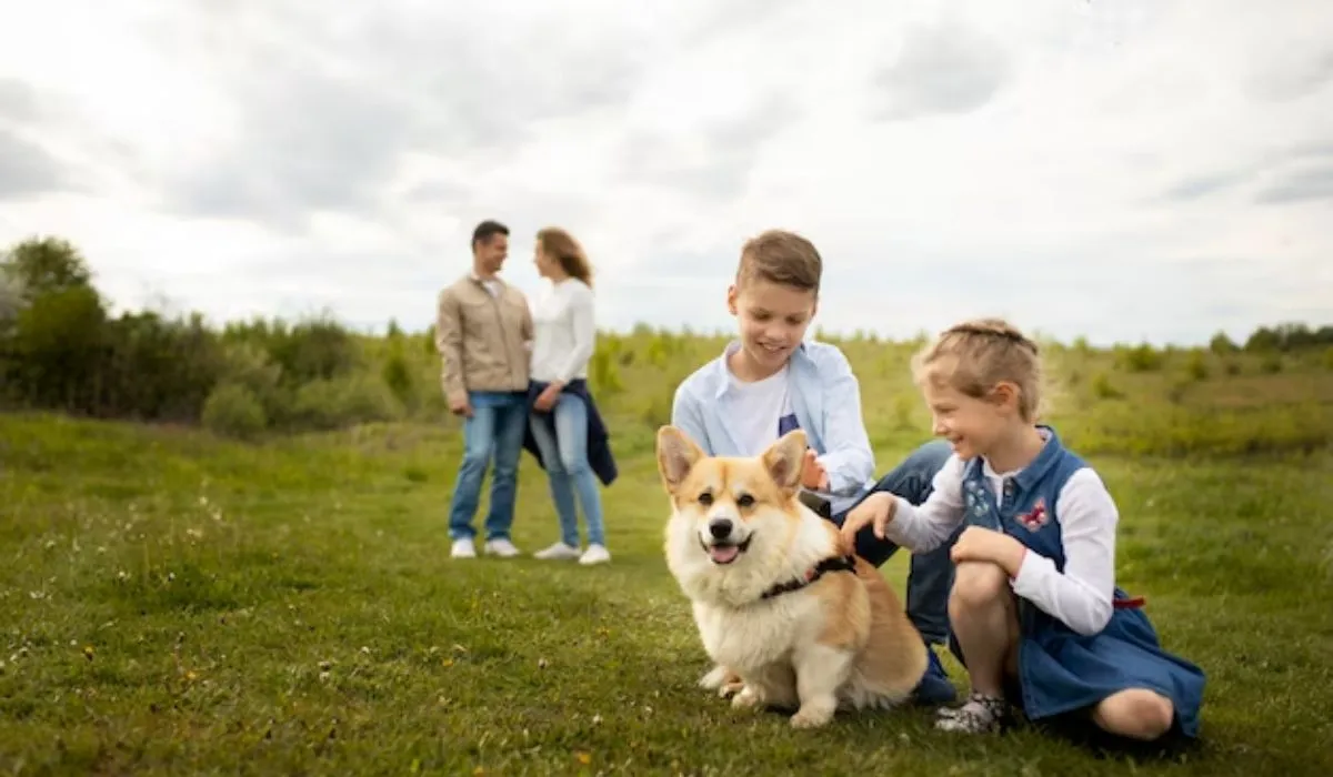 Parques infantiles y la disputa por llevar mascotas.